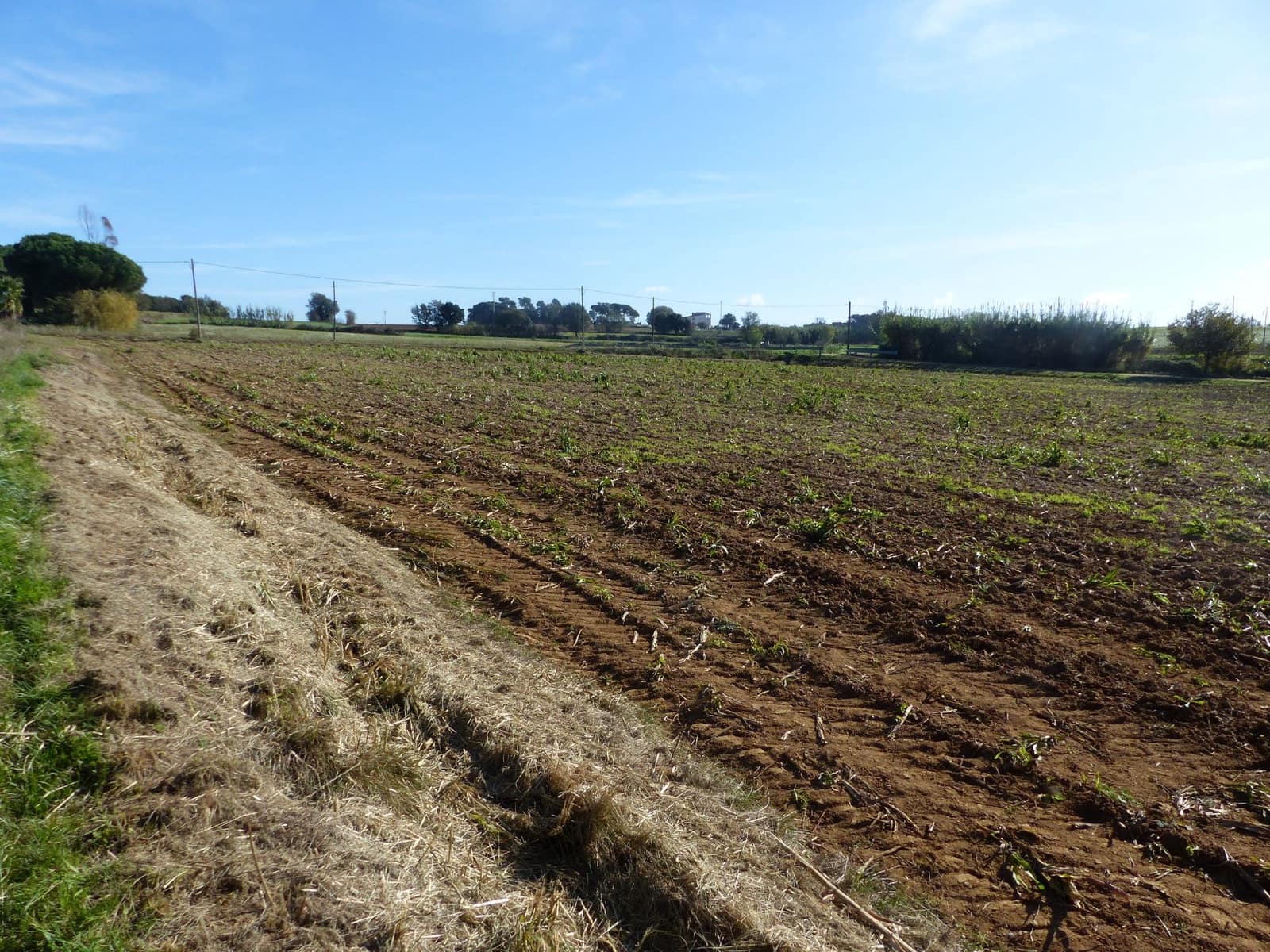 Terreno/Finca Rústica en Caldes de Malavella en venta - 47.000 € (Ref: 9200302)