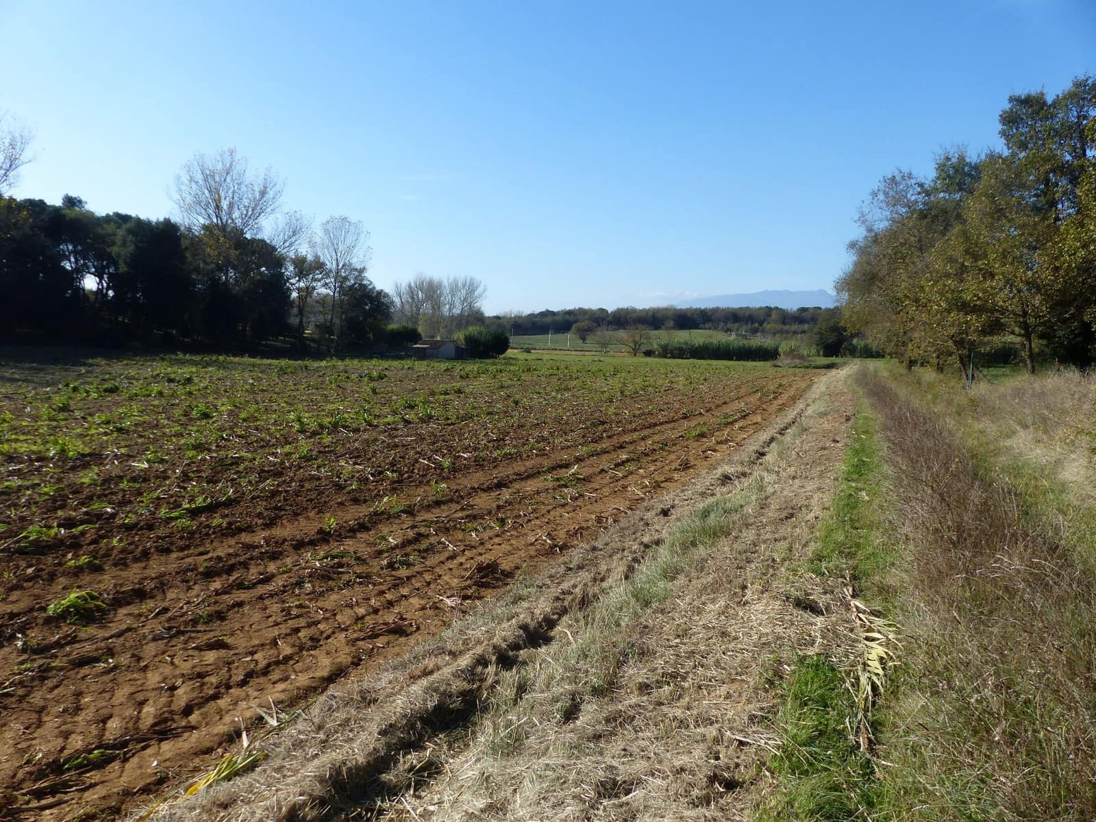 Terreno/Finca Rústica en Caldes de Malavella en venta - 47.000 € (Ref: 9200302)