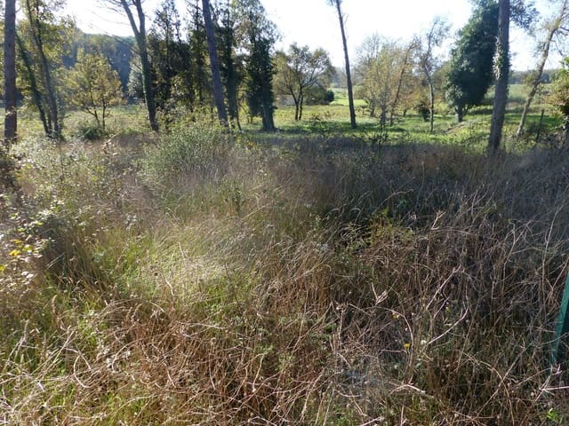 Terreno/Finca Rústica en Caldes de Malavella en venta - 47.000 € (Ref: 9200302)