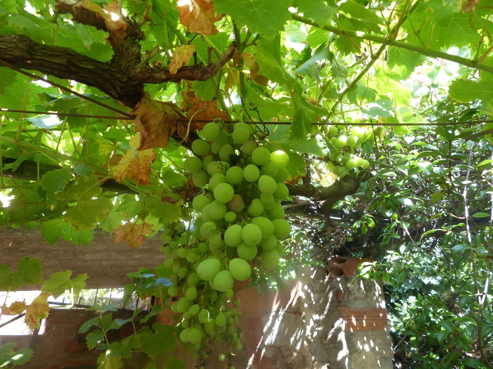 3 soverom Hus til salgs i Bescano med garasje - € 310 000 (Ref: 9248560)