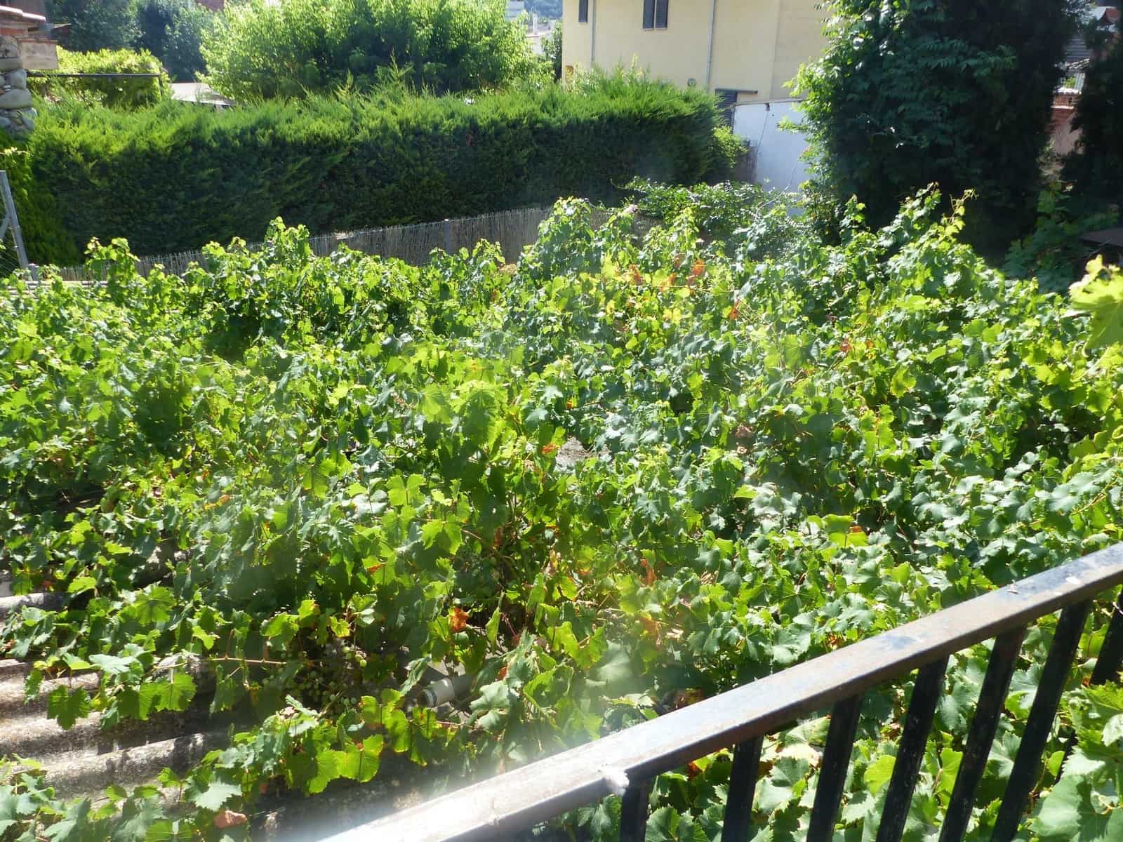 3 soverom Hus til salgs i Bescano med garasje - € 310 000 (Ref: 9248560)