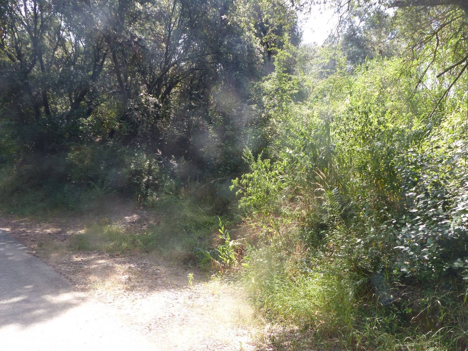 3 soverom Hus til salgs i Bescano med garasje - € 310 000 (Ref: 9248560)