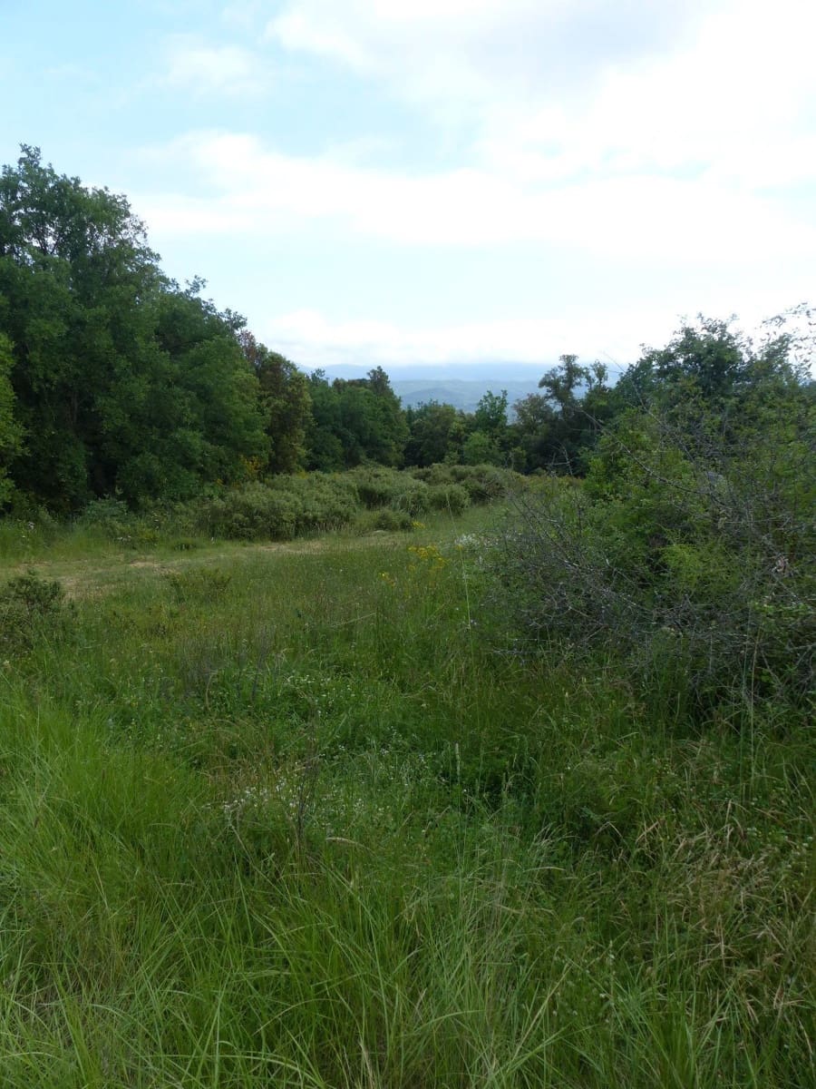 4 soverom Finca/Herregård til salgs i Gualba - € 375 000 (Ref: 9265750)