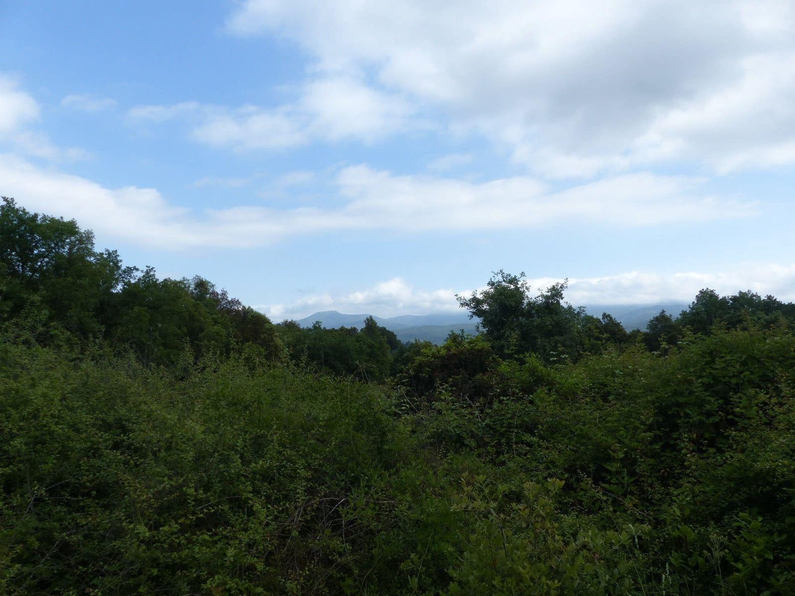 4 soverom Finca/Herregård til salgs i Gualba - € 375 000 (Ref: 9265750)