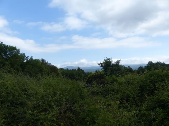 4 bedroom Finca/Country House for sale in Gualba - € 375,000 (Ref: 9265750)