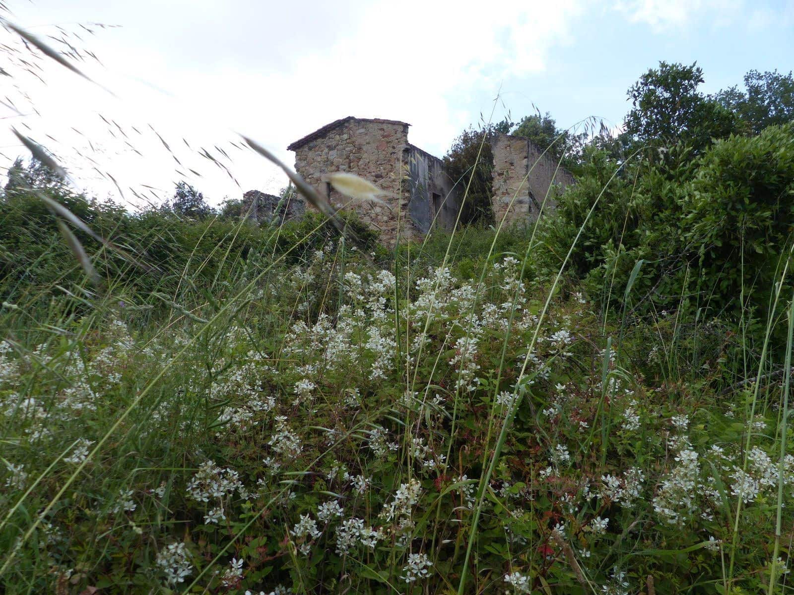 4 soverom Finca/Herregård til salgs i Gualba - € 375 000 (Ref: 9265750)