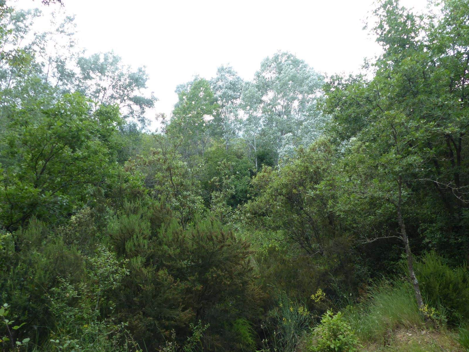 4 soverom Finca/Herregård til salgs i Gualba - € 375 000 (Ref: 9265750)