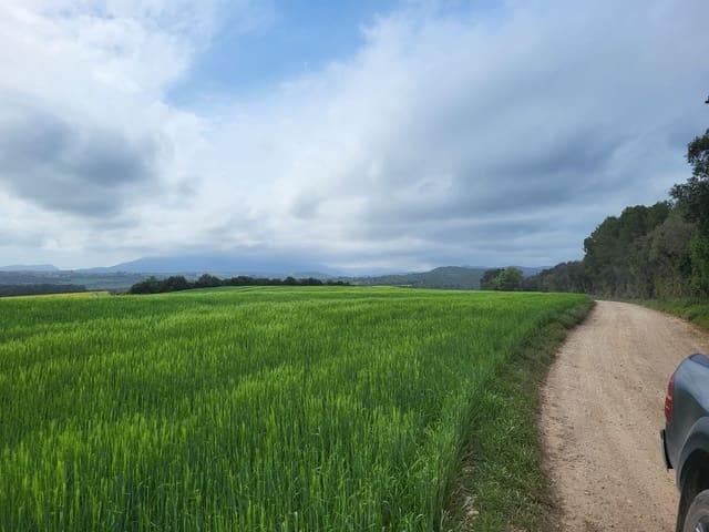 1 soverom Finca/Herregård til salgs i Garriguella - € 1 050 000 (Ref: 9424316)