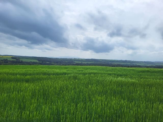 1 soverom Finca/Herregård til salgs i Garriguella - € 1 050 000 (Ref: 9424316)