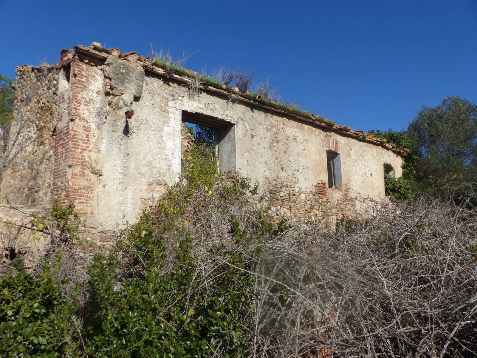 1 sovrum Finca/Hus på landet till salu i Garriguella - 1 050 000 € (Ref: 9424316)