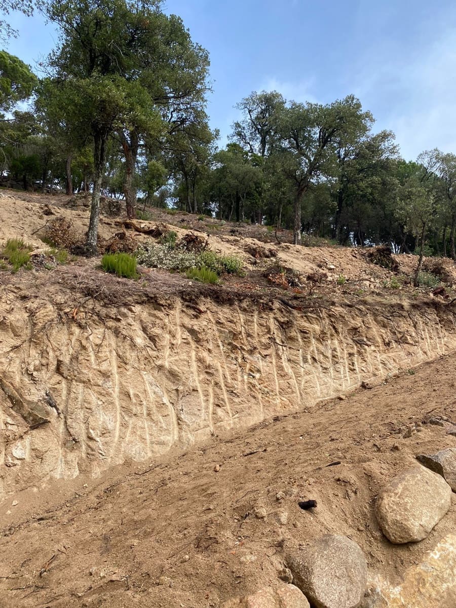 Landgrundstück zu verkaufen in Arbucies - 60.000 € (Ref: 9445876)