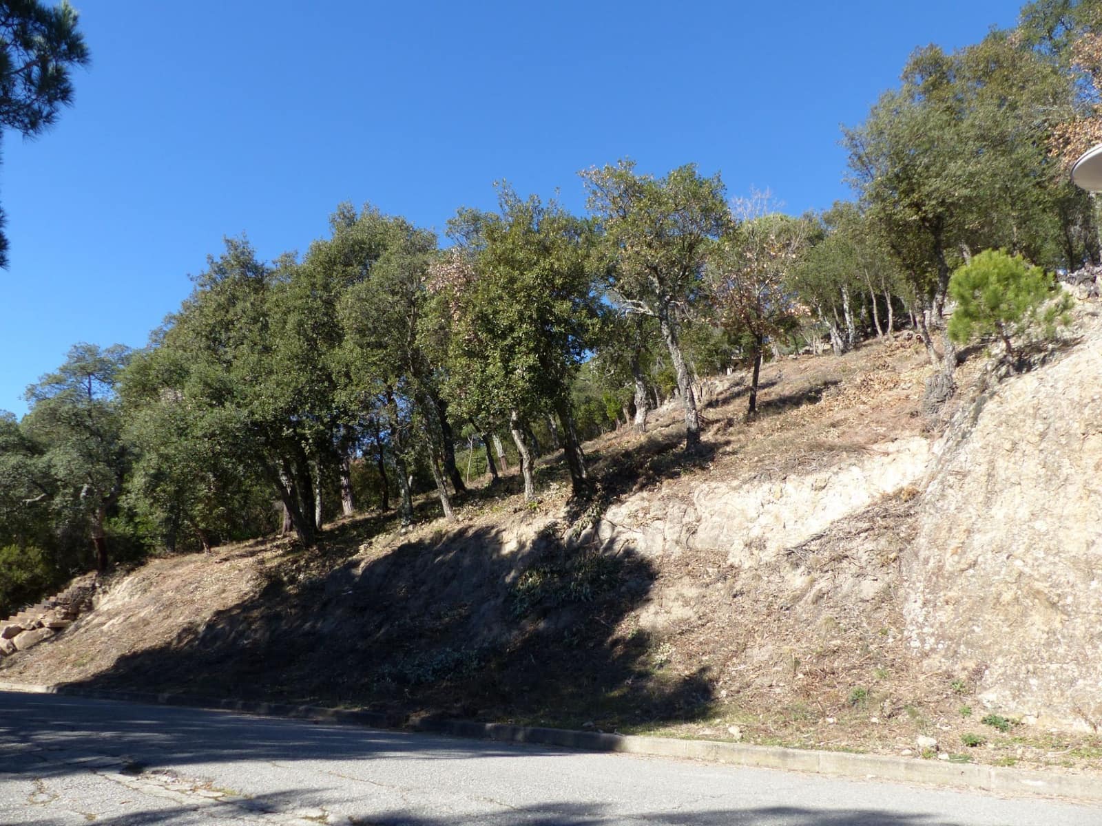 Landgrundstück zu verkaufen in Arbucies - 60.000 € (Ref: 9445876)