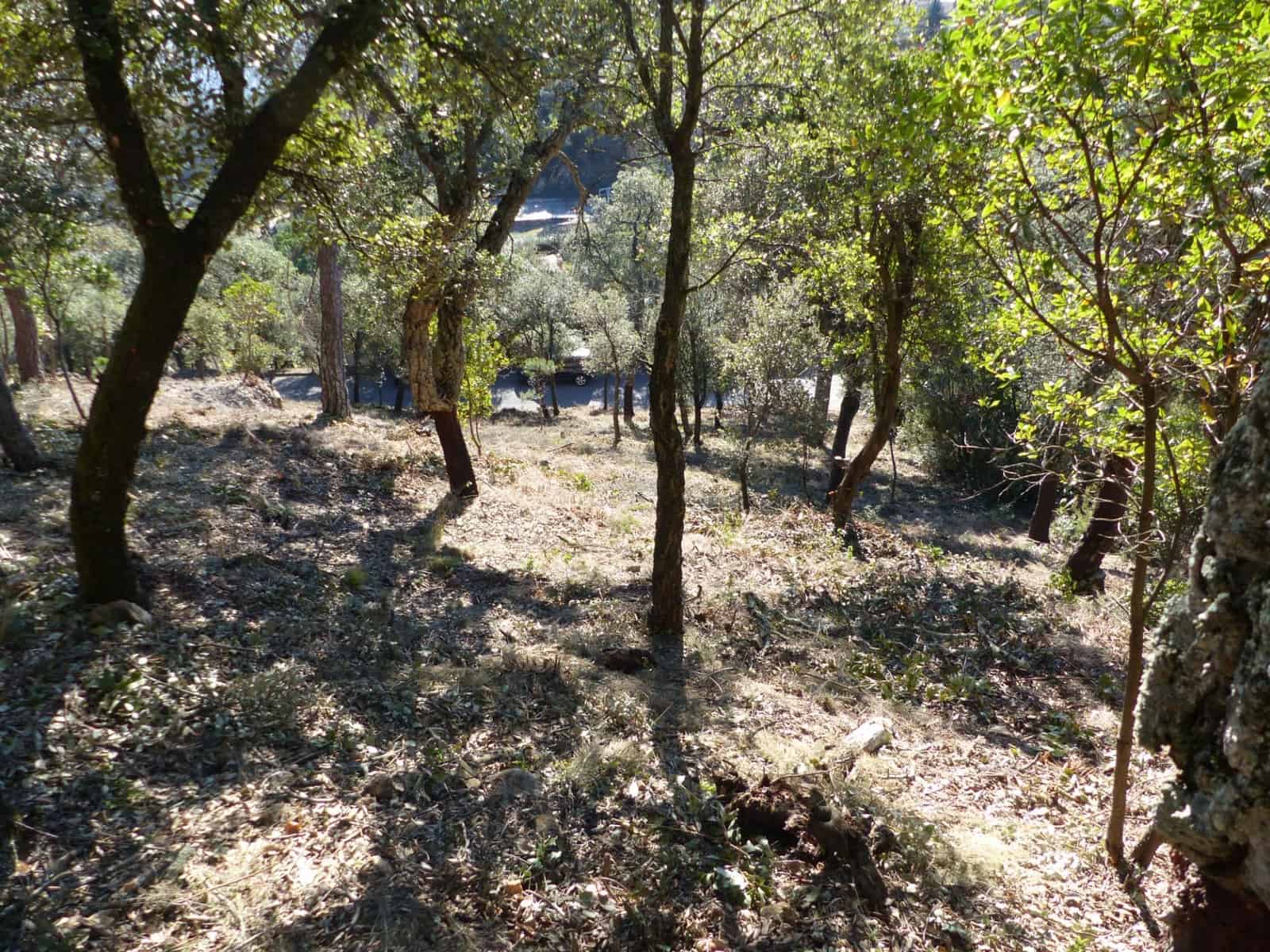 Landgrundstück zu verkaufen in Arbucies - 60.000 € (Ref: 9445876)