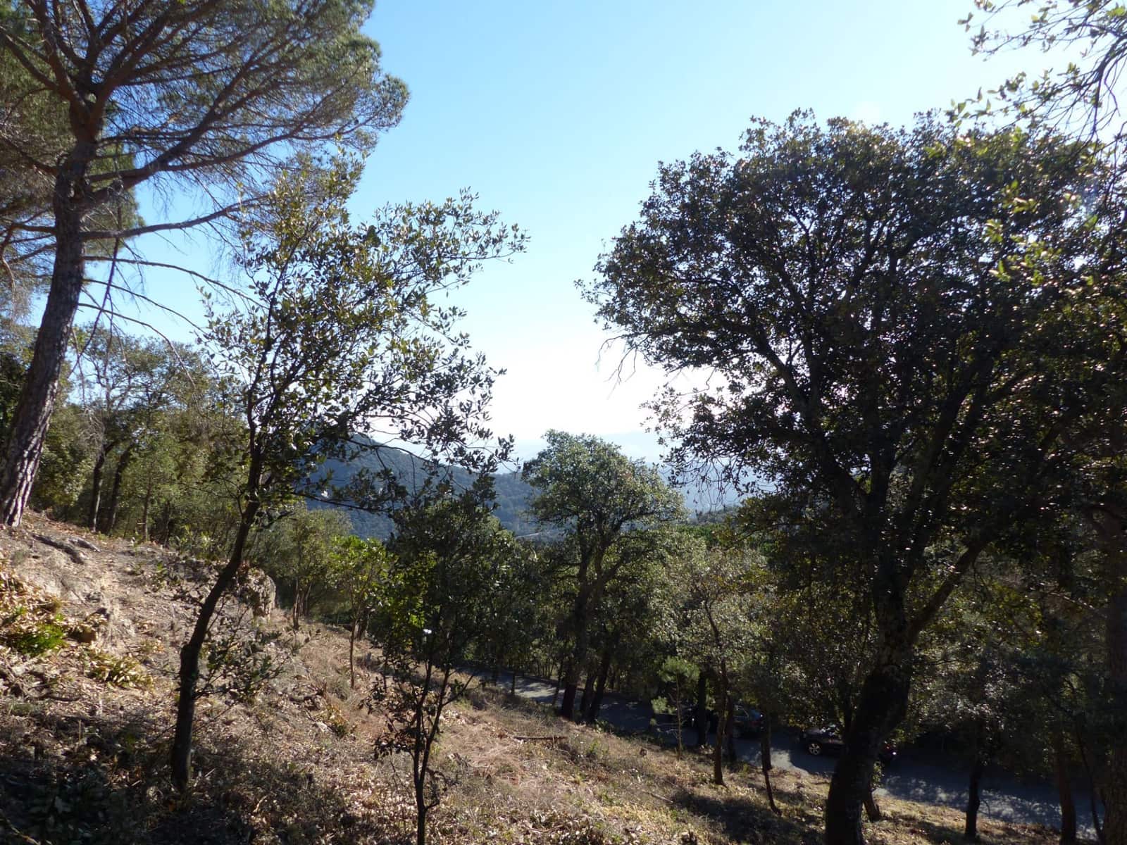 Landgrundstück zu verkaufen in Arbucies - 60.000 € (Ref: 9445876)