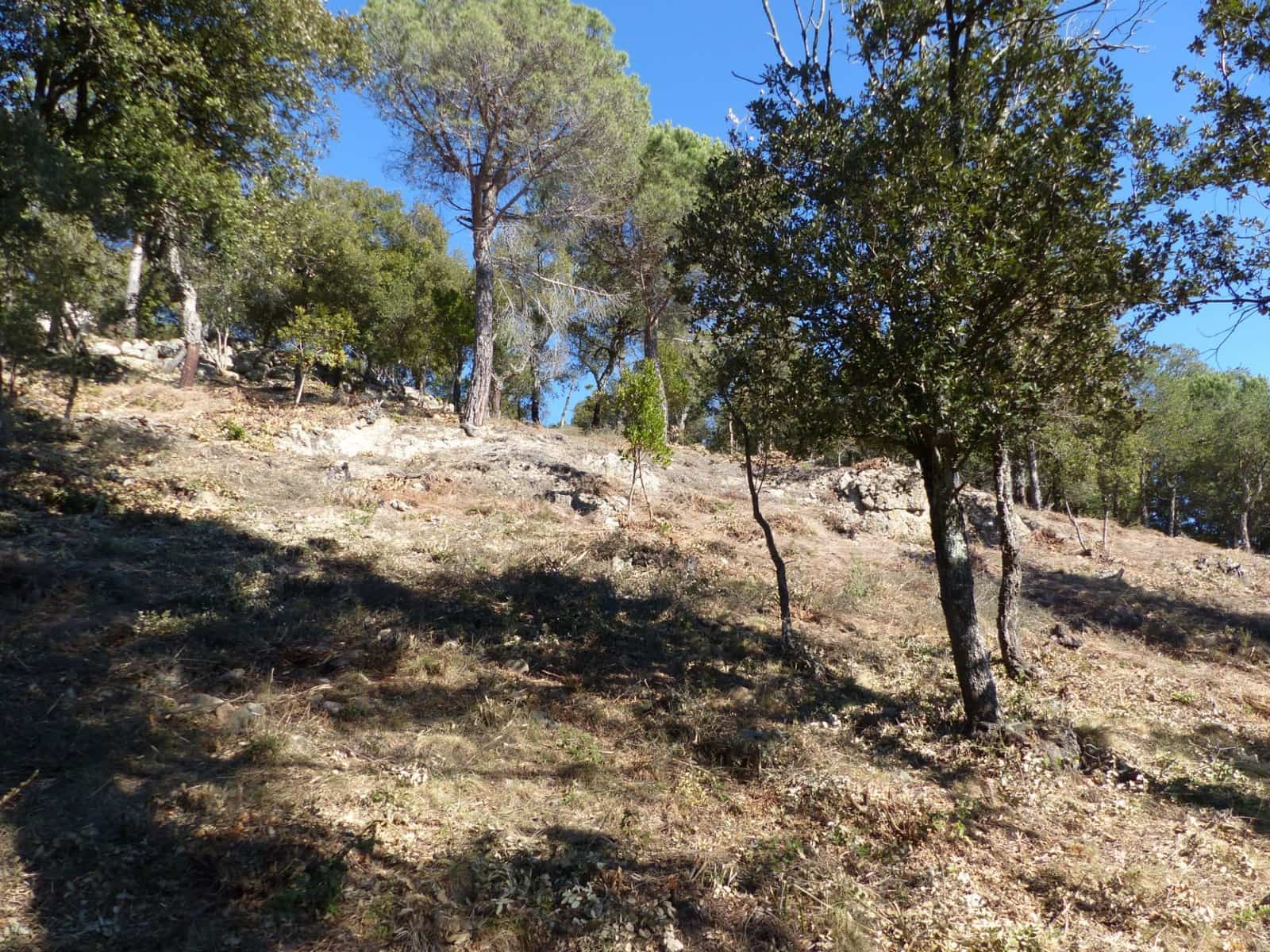 Landgrundstück zu verkaufen in Arbucies - 60.000 € (Ref: 9445876)