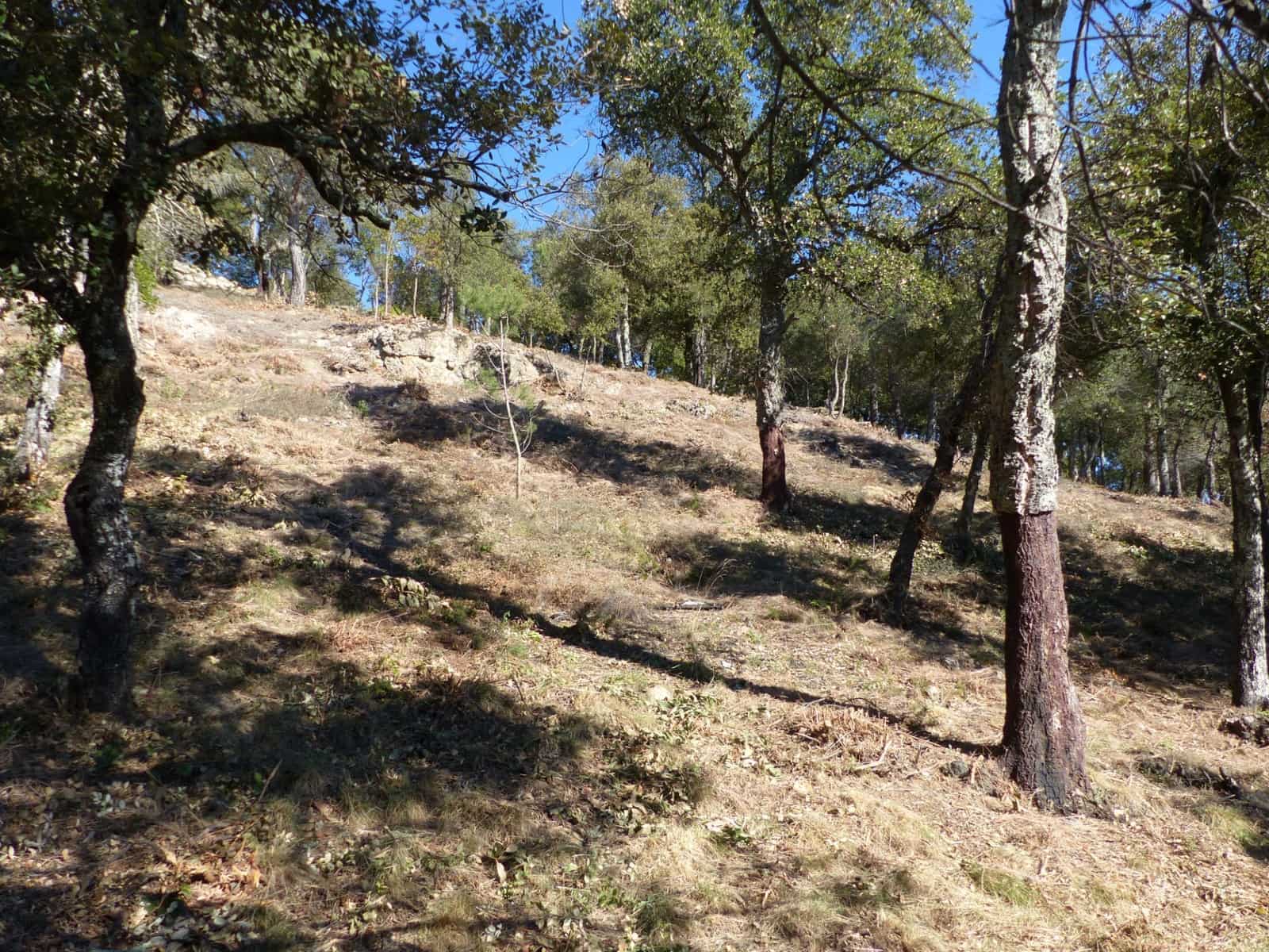 Landgrundstück zu verkaufen in Arbucies - 60.000 € (Ref: 9445876)