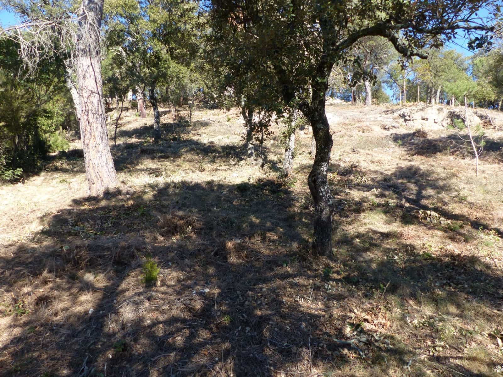 Landgrundstück zu verkaufen in Arbucies - 60.000 € (Ref: 9445876)