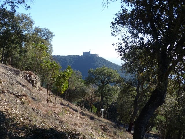 Landgrundstück zu verkaufen in Arbúcies - 60.000 € (Ref: 9445876)