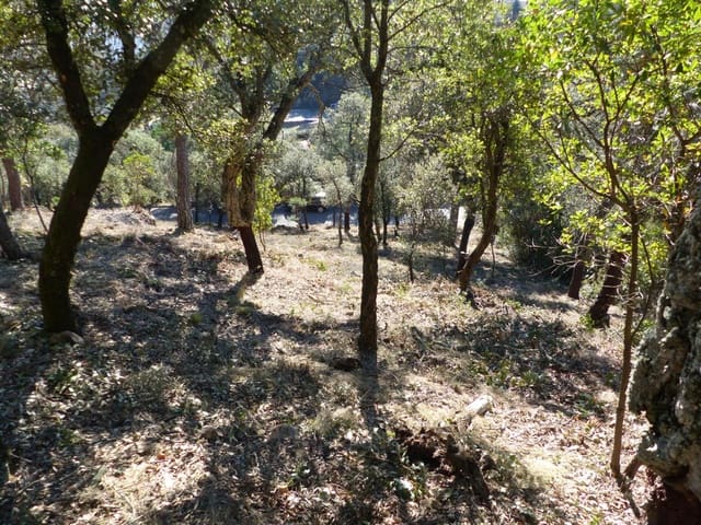 Landgrundstück zu verkaufen in Arbúcies - 60.000 € (Ref: 9445876)