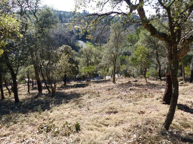 Landgrundstück zu verkaufen in Arbúcies - 60.000 € (Ref: 9445876)