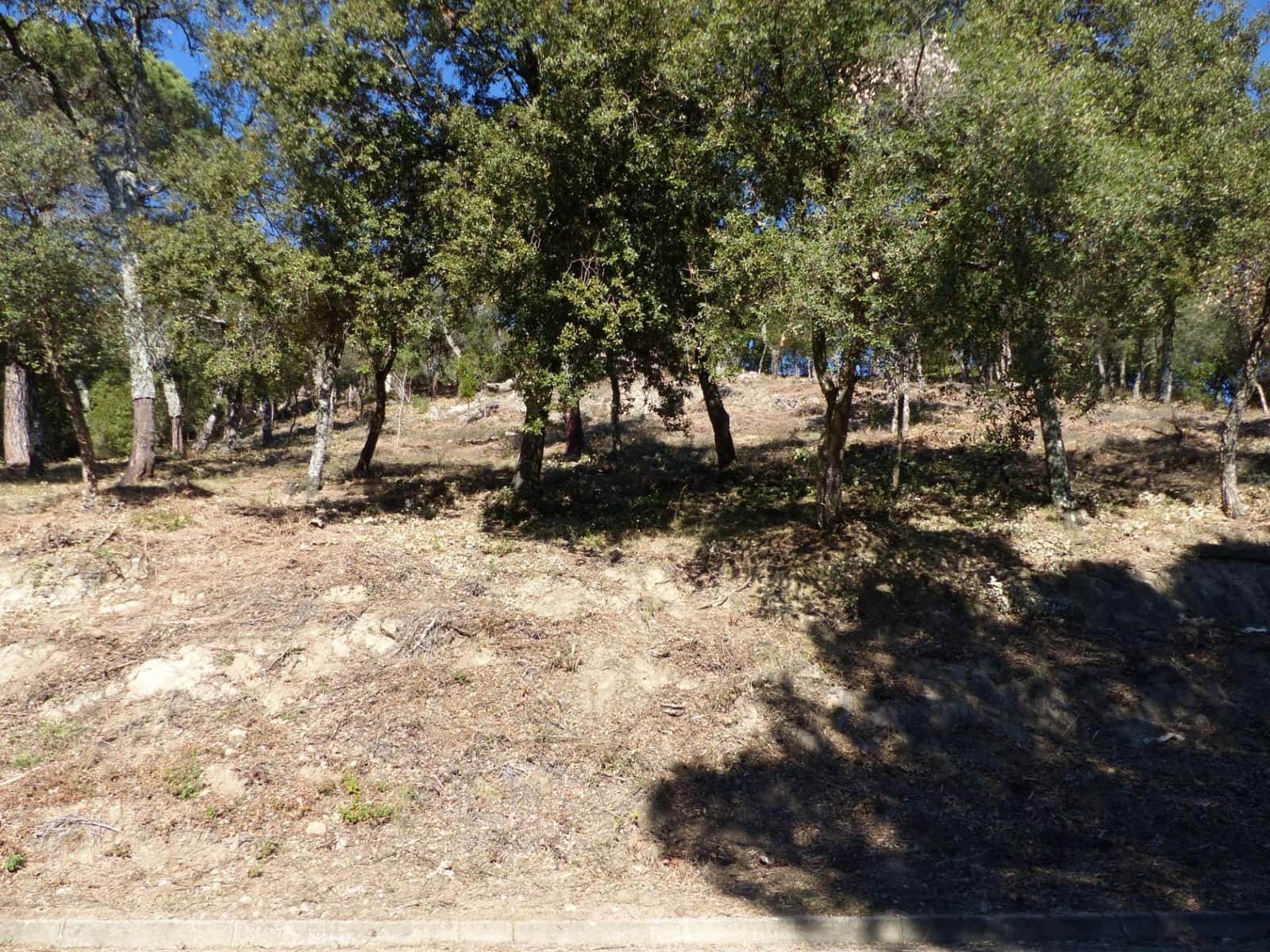 Landgrundstück zu verkaufen in Arbucies - 60.000 € (Ref: 9445876)