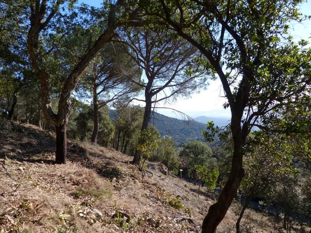 Landgrundstück zu verkaufen in Arbúcies - 60.000 € (Ref: 9445876)