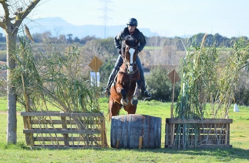 1 bedroom Finca/Country House for sale in Sant Feliu de Buixalleu - € 690,000 (Ref: 9518508)