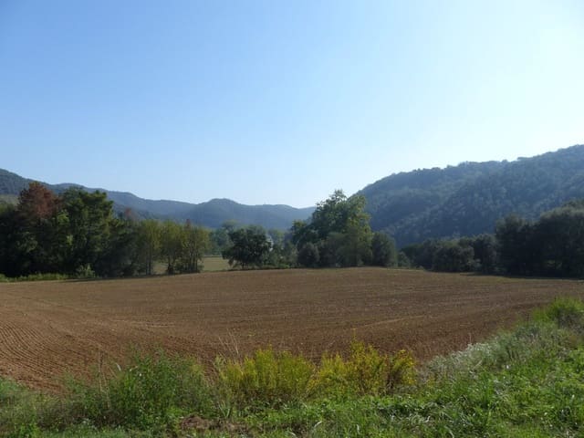 1 soveværelse Finca/Landehus til salg i Sant Feliu de Buixalleu - € 690.000 (Ref: 9518508)