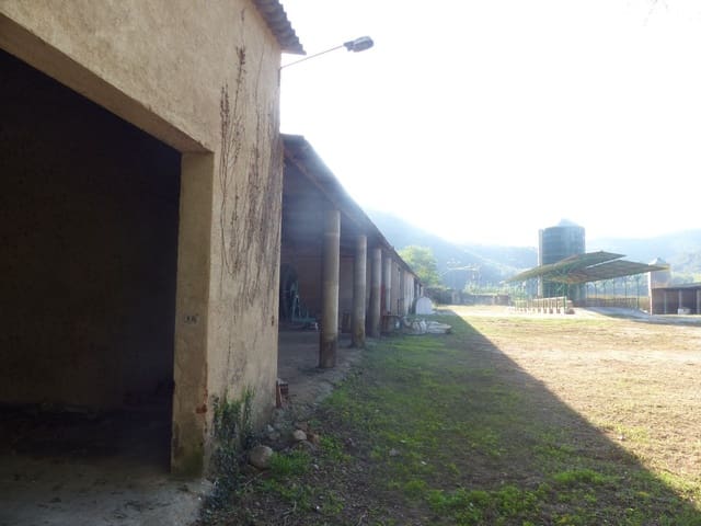 1 slaapkamer Finca/Landhuis te koop in Sant Feliu de Buixalleu - € 690.000 (Ref: 9518508)