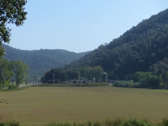 1 soveværelse Finca/Landehus til salg i Sant Feliu de Buixalleu - € 690.000 (Ref: 9518508)