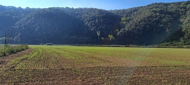 1 soveværelse Finca/Landehus til salg i Sant Feliu de Buixalleu - € 690.000 (Ref: 9518508)