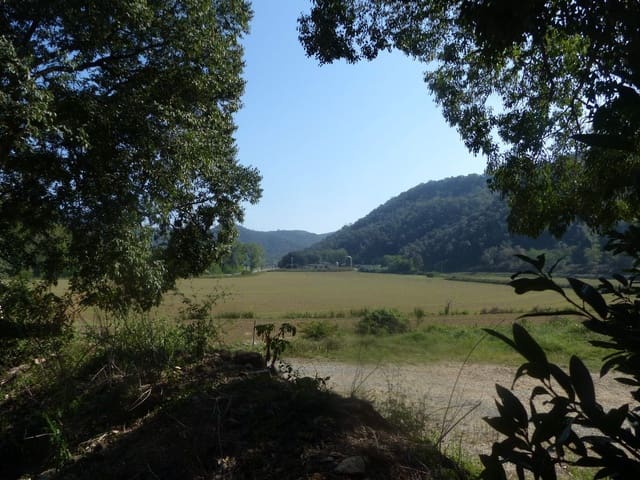 1 soveværelse Finca/Landehus til salg i Sant Feliu de Buixalleu - € 690.000 (Ref: 9518508)