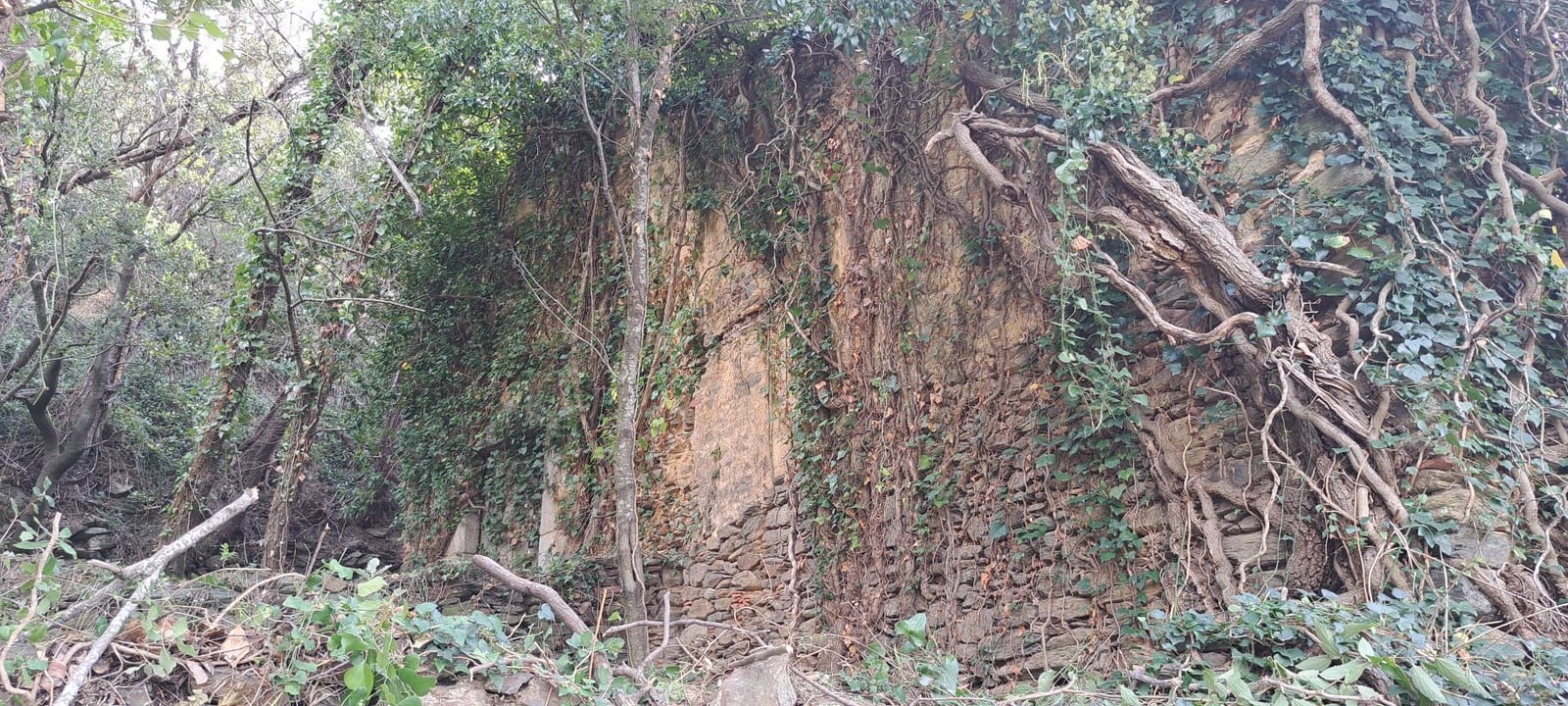 Finca/Landehus til salg i Fogars de Montclus - € 180.000 (Ref: 9561367)