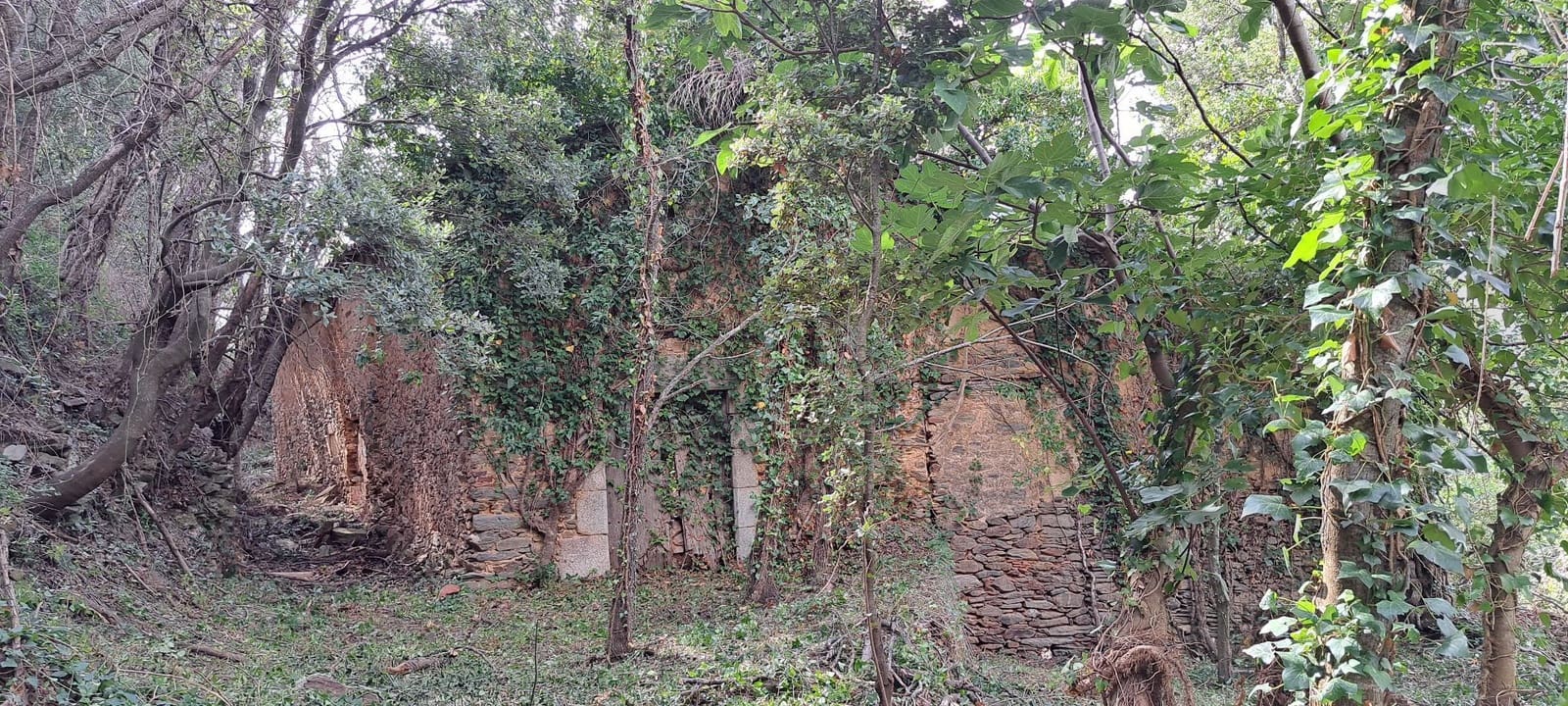 Finca/Landehus til salg i Fogars de Montclus - € 180.000 (Ref: 9561367)