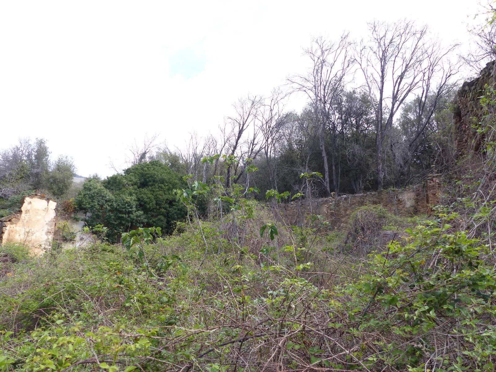 Finca/Landehus til salg i Fogars de Montclus - € 180.000 (Ref: 9561367)