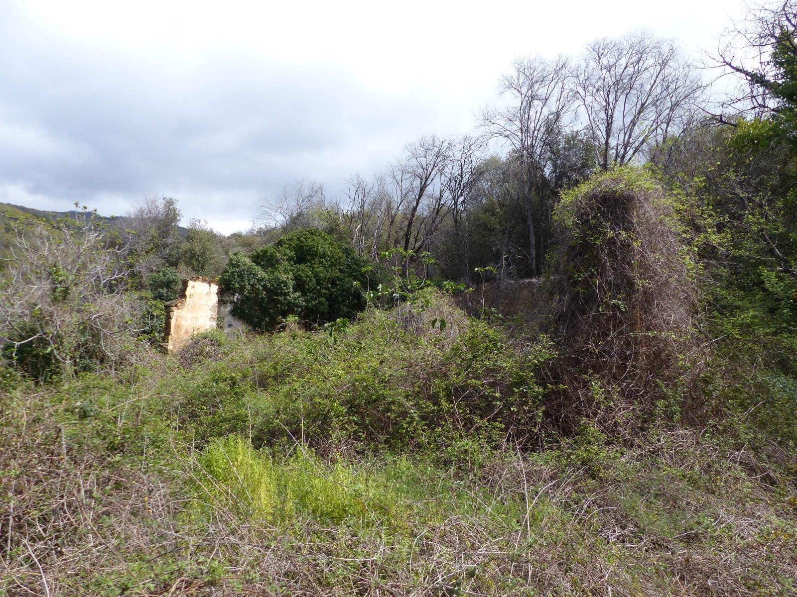 Finca/Landehus til salg i Fogars de Montclus - € 180.000 (Ref: 9561367)