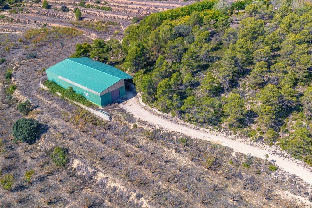 7 soverom Finca/Herregård til salgs i Alicante by med svømmebasseng garasje - € 11 000 000 (Ref: 9819960)