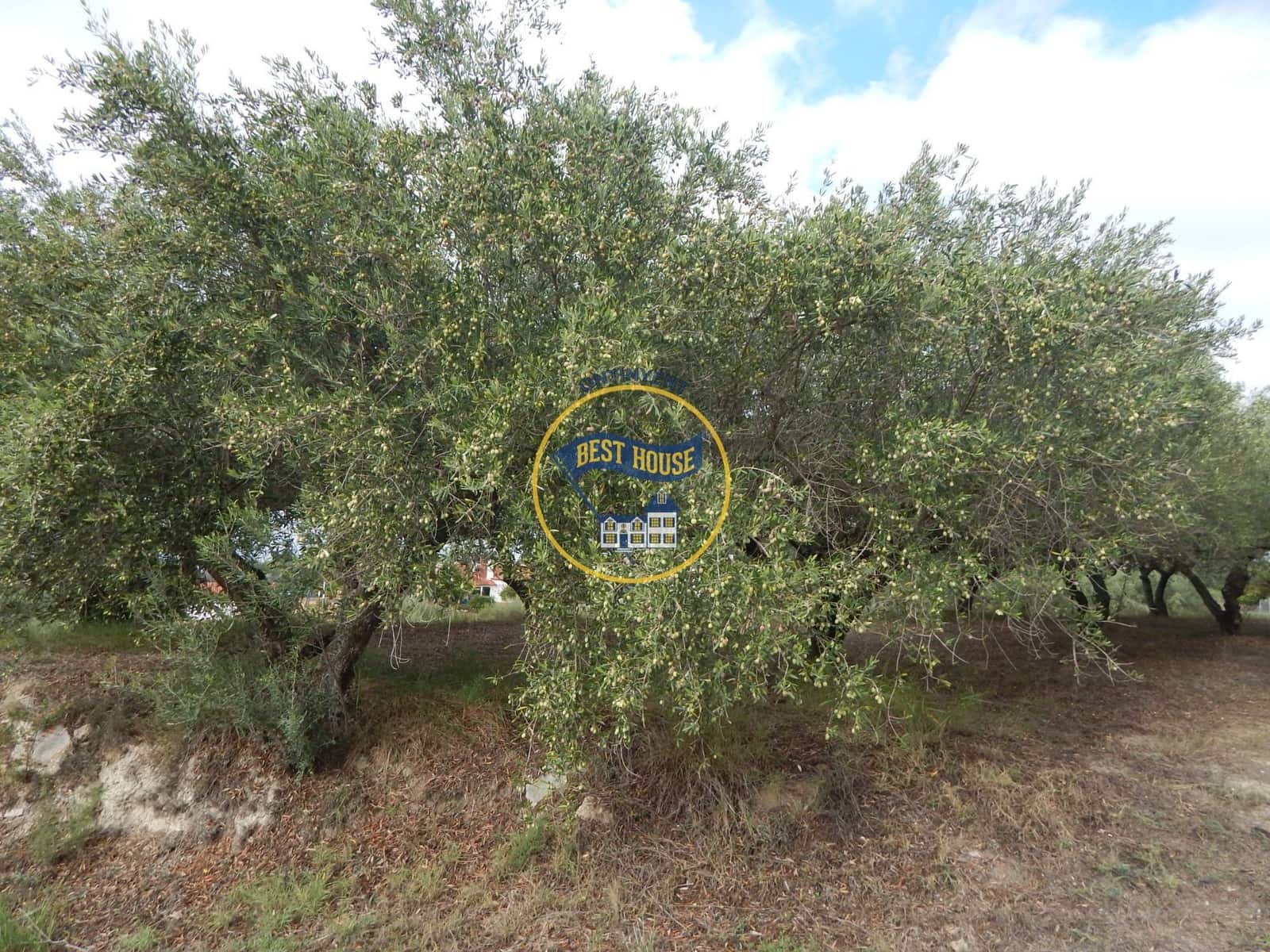 4 sovrum Villa till salu i Ontinyent - 150 000 € (Ref: 10120113)