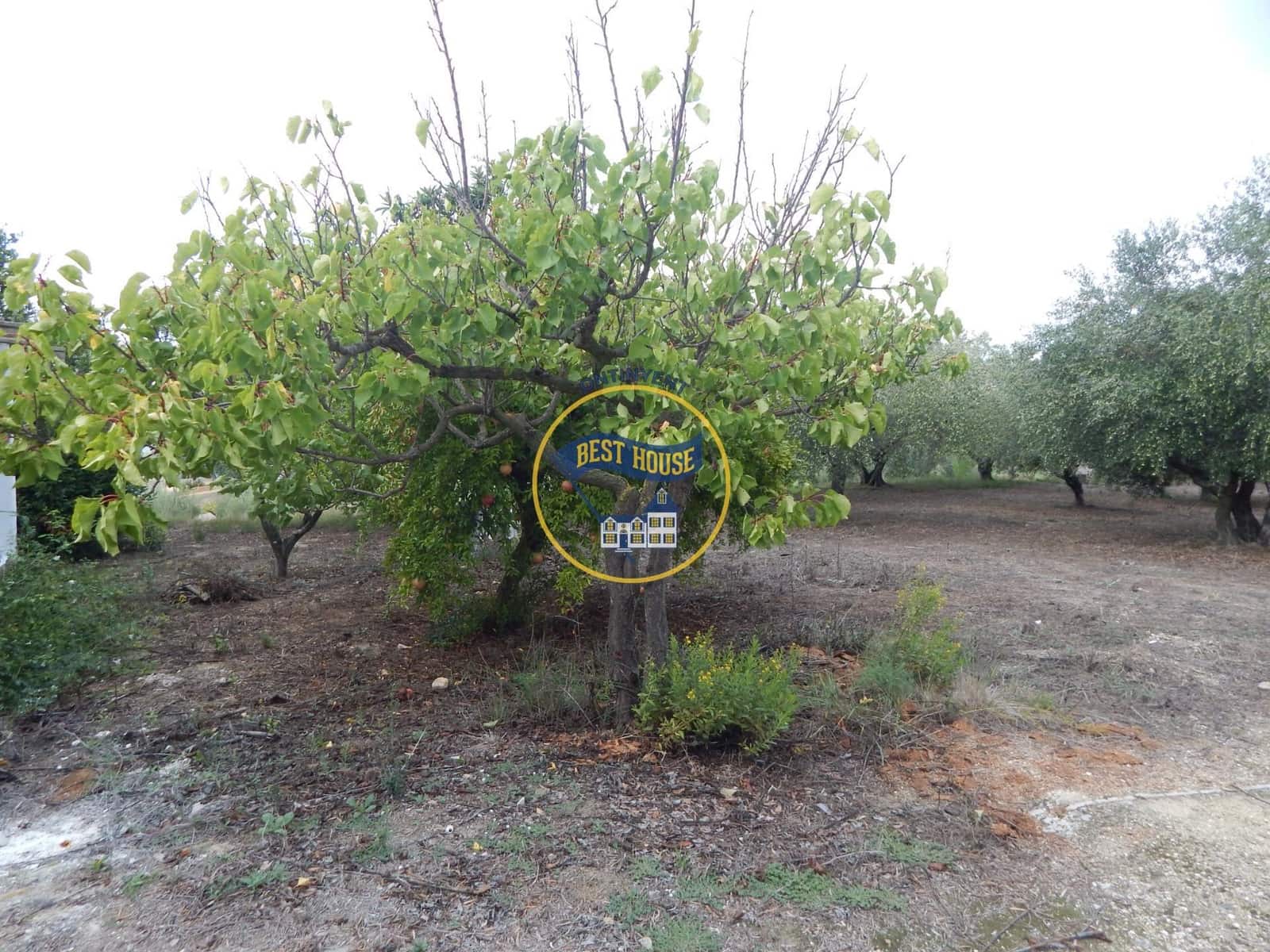 4 sovrum Villa till salu i Ontinyent - 150 000 € (Ref: 10120113)