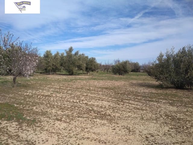 Building Plot for sale in Agullent - € 50,000 (Ref: 5897754)