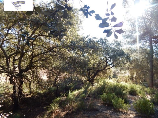 Building Plot for sale in Ontinyent - € 300,000 (Ref: 5897758)