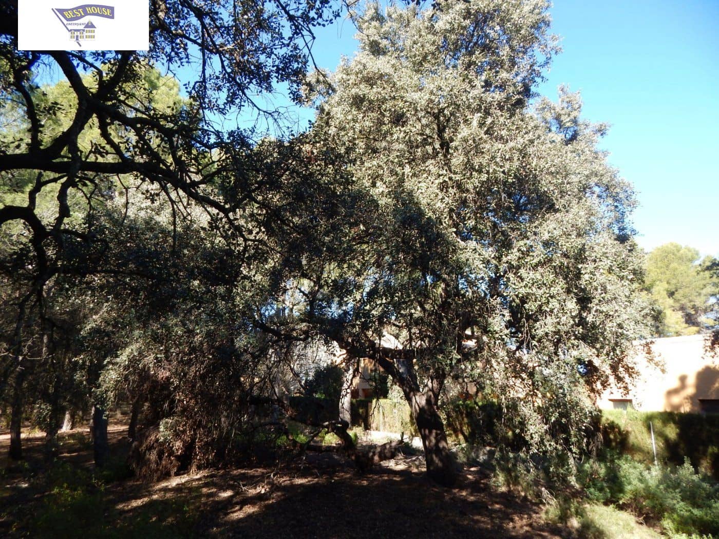 Tomt till salu i Ontinyent - 300 000 € (Ref: 5897758)