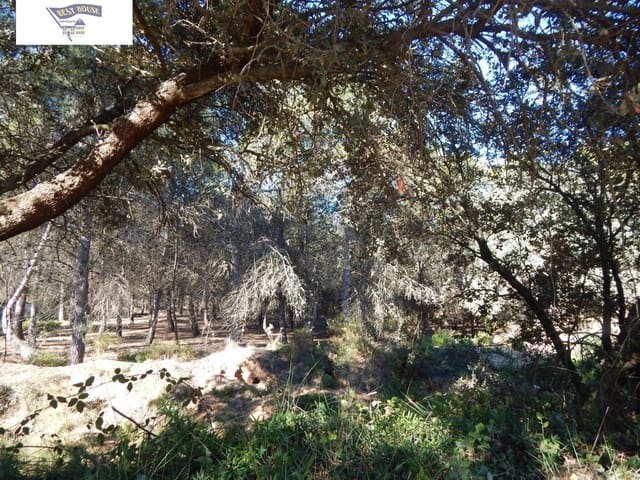 Building Plot for sale in Ontinyent - € 300,000 (Ref: 5897758)