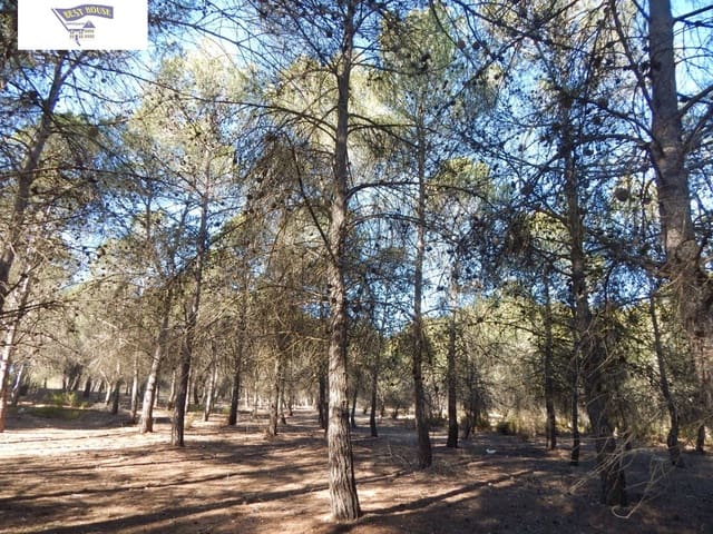 Building Plot for sale in Ontinyent - € 300,000 (Ref: 5897758)