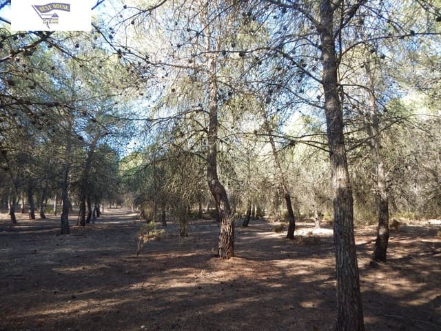 Building Plot for sale in Ontinyent - € 300,000 (Ref: 5897758)