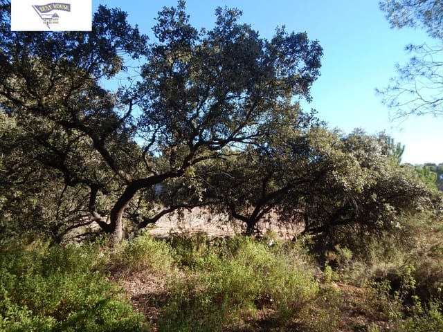 Building Plot for sale in Ontinyent - € 300,000 (Ref: 5897758)