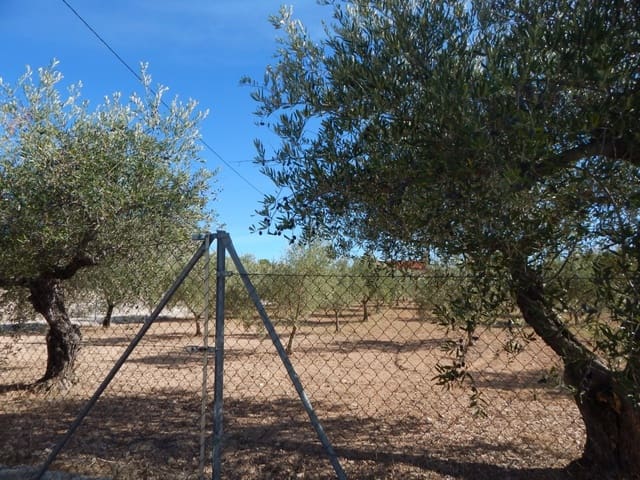 Building Plot for sale in Ontinyent - € 58,000 (Ref: 5898036)