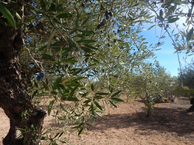 Building Plot for sale in Ontinyent - € 58,000 (Ref: 5898036)