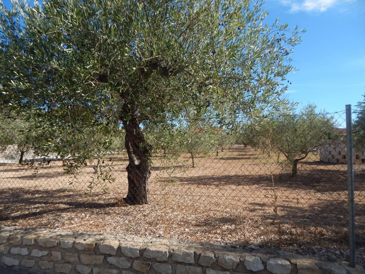 Byggegrund til salg i Ontinyent - € 58.000 (Ref: 5898036)