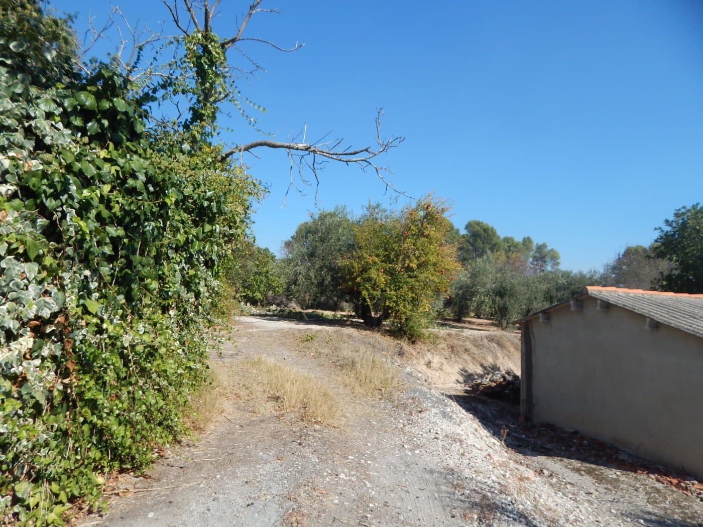 6 sovrum Villa till salu i Ontinyent med pool garage - 250 000 € (Ref: 6192386)